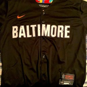 Baltimore Orioles City Connect Jersey, Mens Medium, #25 Santander